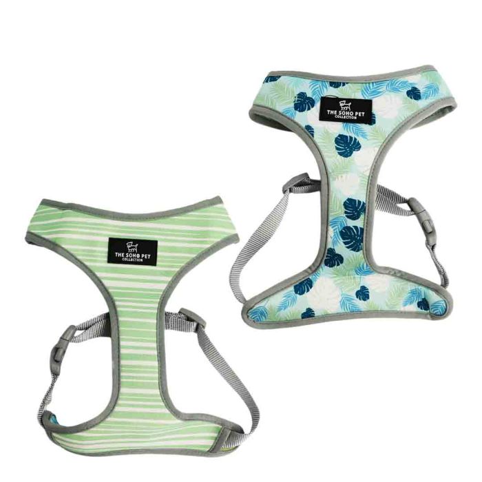Ancol Soho Stripe & Leaf Dog Harness