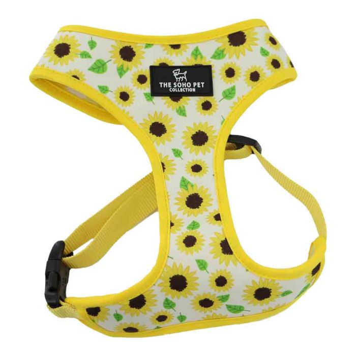 Ancol Soho Sunflower & Check Dog Harness