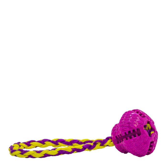 James & Steel Fling & Treat Ball Dog Toy