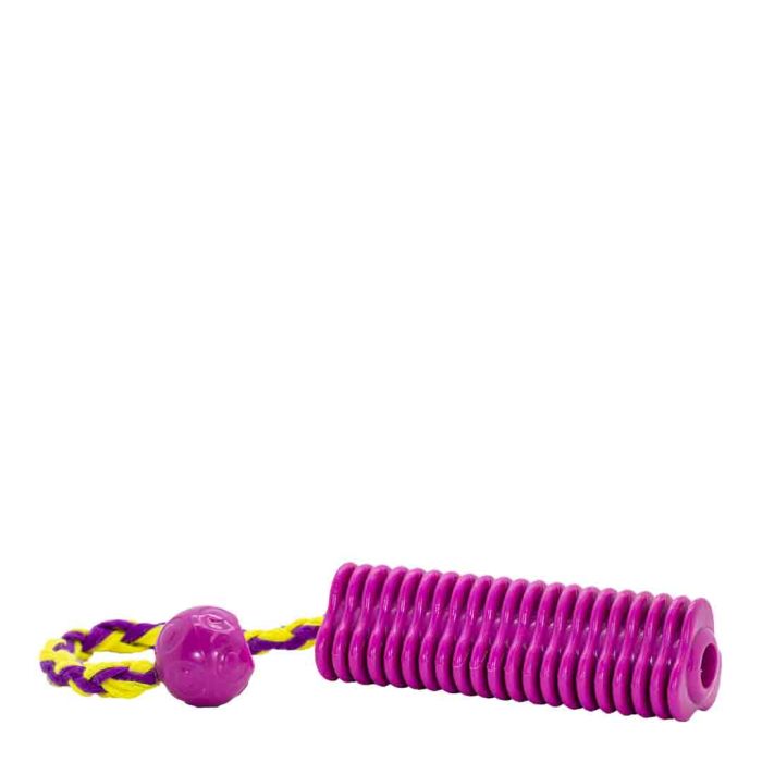 James & Steel Fetch & Treat Dummy Dog Toy