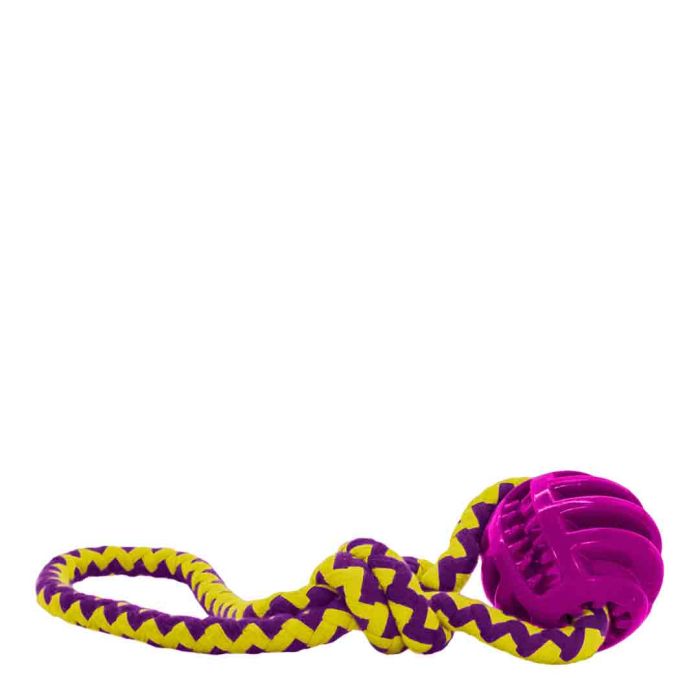 James & Steel Chase & Treat Ball Dog Toy
