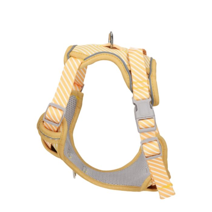 Rufus & Rosie Yellow Stripe Dog Harness & Lead Set