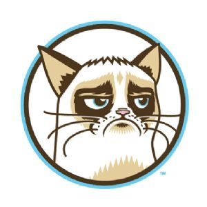 Grumpy Cat