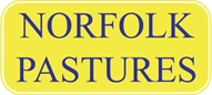 Norfolk Pastures