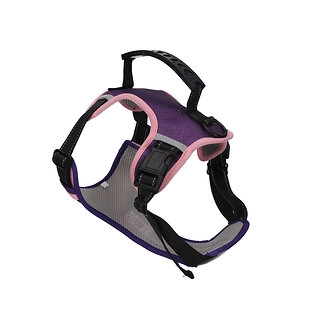 Rufus & Rosie Pink & Purple Anti-Pull Reflect Dog Harness Extra Large