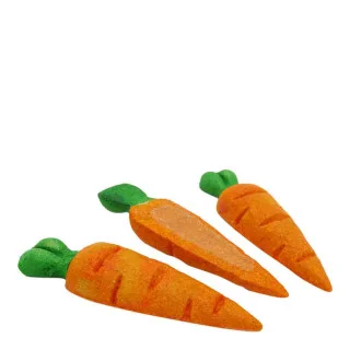 Rosewood Carrot Treat & Gnaw for Small Pets