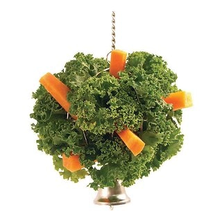 Boredom Breaker Hanging Food Ball