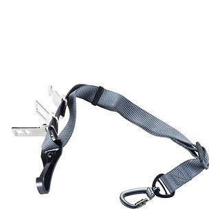 Rufus & Rosie ISOfix Universal Car Restraint