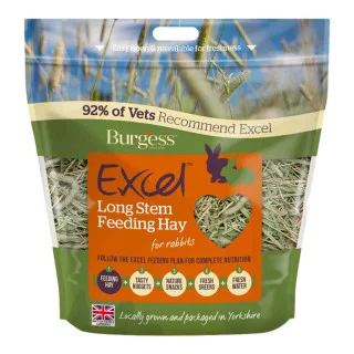 Burgess Excel Long Stem Feeding Hay 1kg