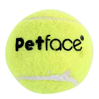 Tennis Balls (3 Pack)