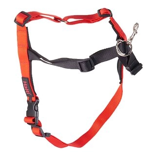 Halti Front Control Dog Harness Large