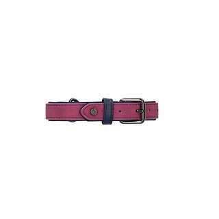 Rufus & Rosie Sotnos Brights Tech Extra Large Dog Collar, Purple