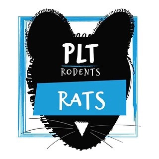 PLT Frozen Small Rat Weaner Reptile Food 30g x 10 Pack