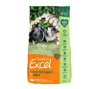 Excel Guinea Pig Tasty Nuggets 10kg