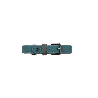 Rufus & Rosie Sotnos Brights Tech Extra Large Dog Collar, Teal