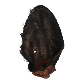 Jollyes Buffalo Ear with Hair Single Natural Dog Treat