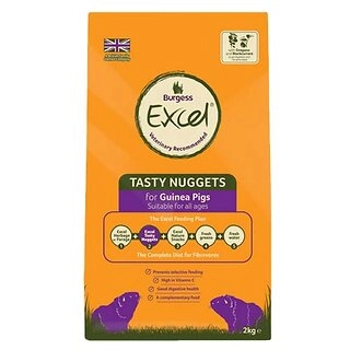 Excel Guinea Pig Blackcurrant & Oregano Tasty Nuggets 2kg