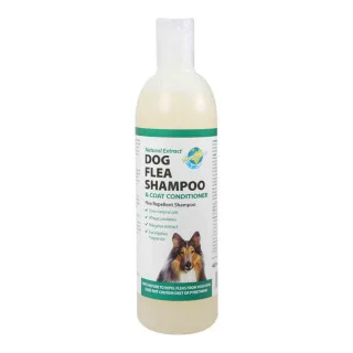 Paragon Flea Shampoo