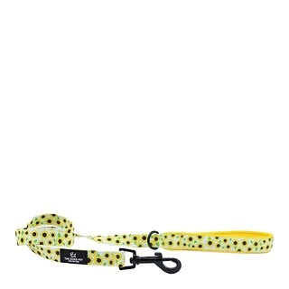 Ancol Soho Yellow Check Dog Lead