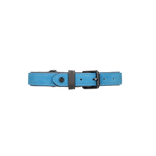 Rufus & Rosie Brights Tec Collar Blue, Medium