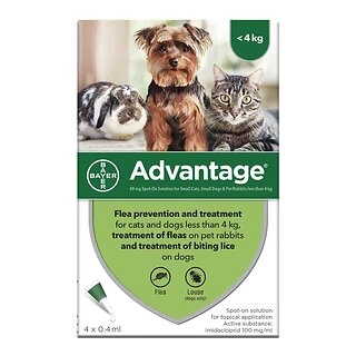 Advantage 40 Spot On Flea Control for Cats, Small Dogs and Rabbits