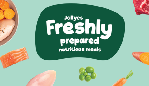 Freshly Prepared Dog Food: Benefits, Ingredients & What to Know