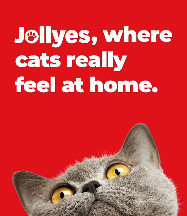 p12_homepage_pet_basket_hero-banner-mobile-cat