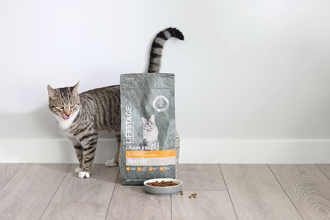 How to Save Money on Cat Food: Smart Tips Every Pet Parent Should Know