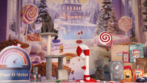 How to Make a Cat Christmas Stocking