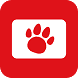 pet-club-icon