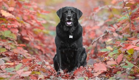 Autumn Awareness: What to Avoid