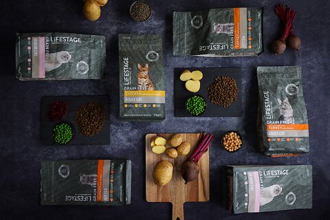 Lifestage Cat Food Guide