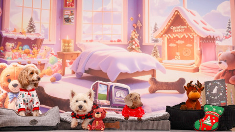 How to Keep Your Pet Safe at Christmas