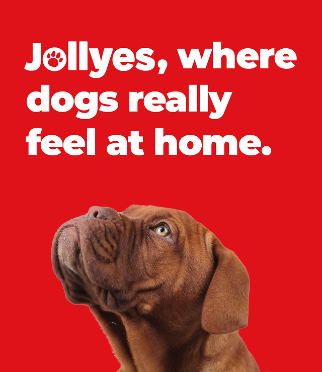 p12_homepage_pet_basket_hero-banner-mobile-_dog