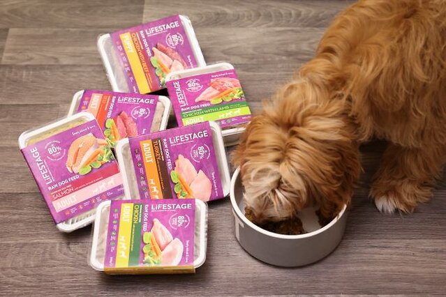Dog eating raw food.
